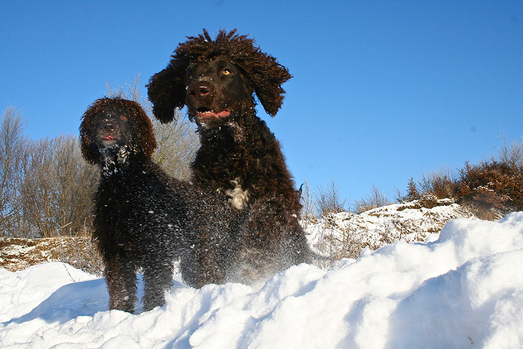 fun in the snow